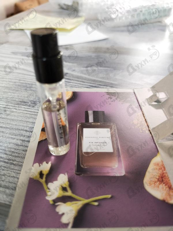 Купить Fig Infusion от Essential Parfums