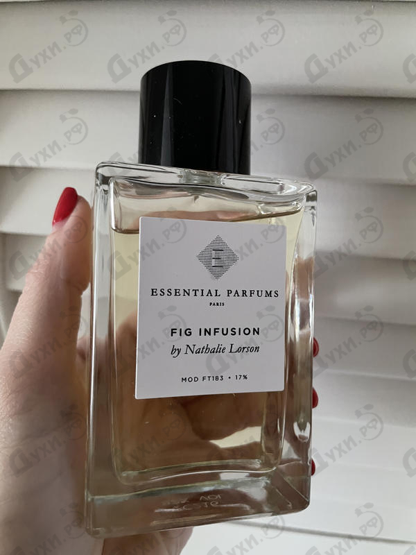 Купить Essential Parfums Fig Infusion