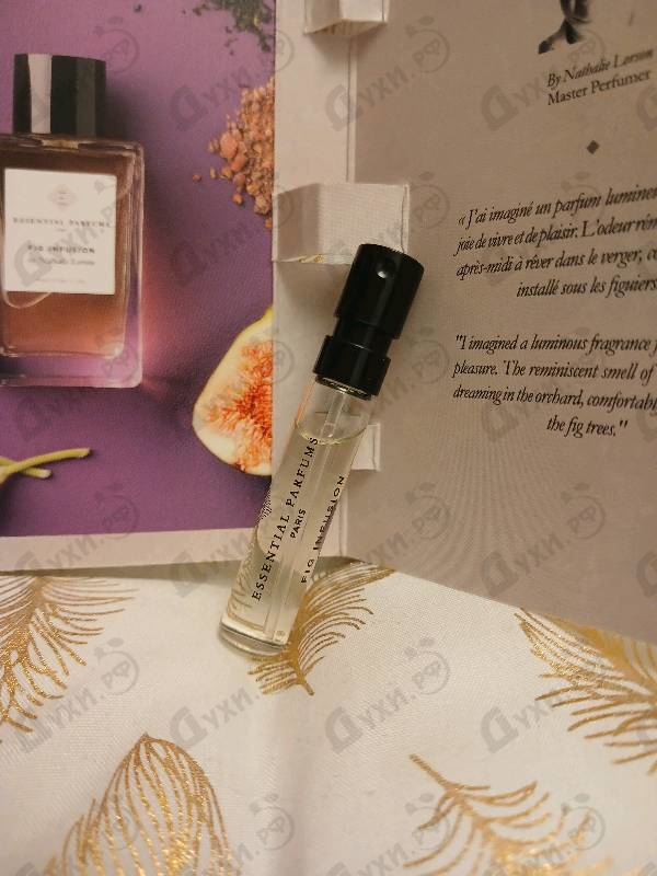 Купить Fig Infusion от Essential Parfums