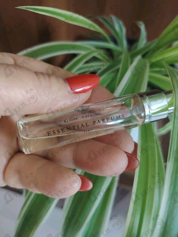 Купить Essential Parfums Fig Infusion