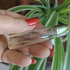 Купить Essential Parfums Fig Infusion