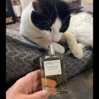 Парфюм Essential Parfums Fig Infusion