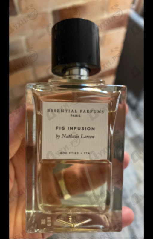 Отзывы Essential Parfums Fig Infusion