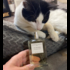 Парфюмерия Essential Parfums Fig Infusion