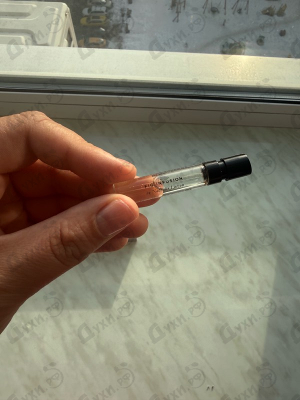 Купить Fig Infusion от Essential Parfums