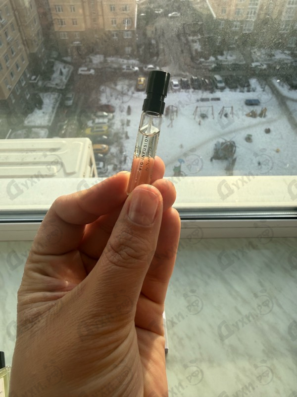 Отзывы Essential Parfums Fig Infusion