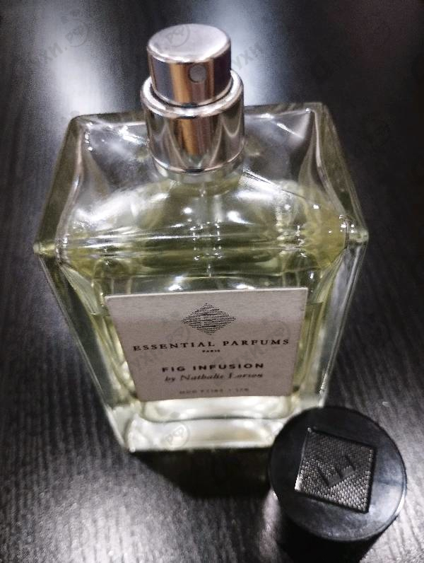 Купить Fig Infusion от Essential Parfums