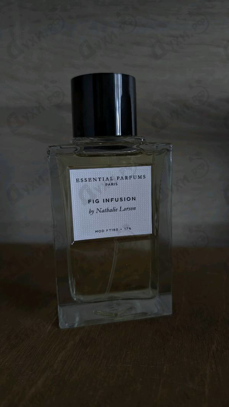 Парфюмерия Essential Parfums Fig Infusion