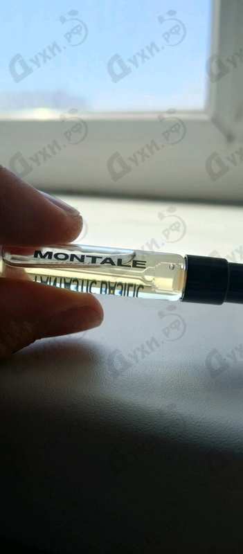 Купить Fantastic Basilic от Montale