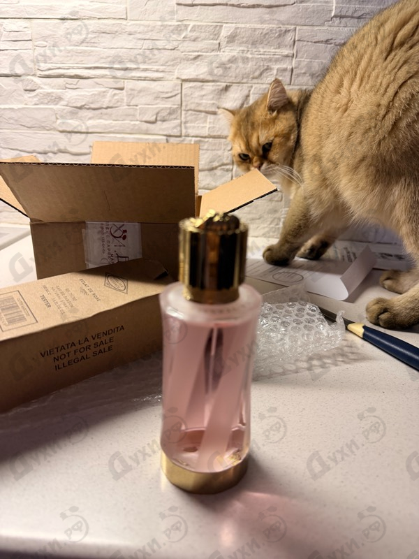 Купить Versace Eclat De Rose
