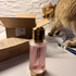 Купить Versace Eclat De Rose