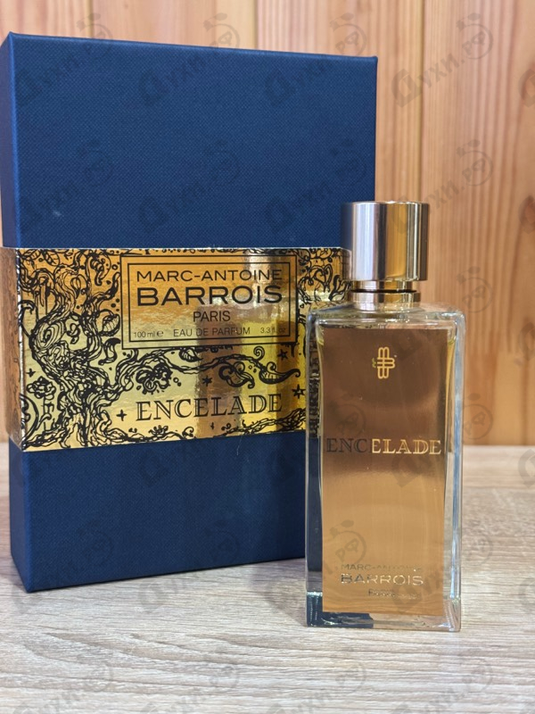 Купить Encelade от Marc-Antoine Barrois