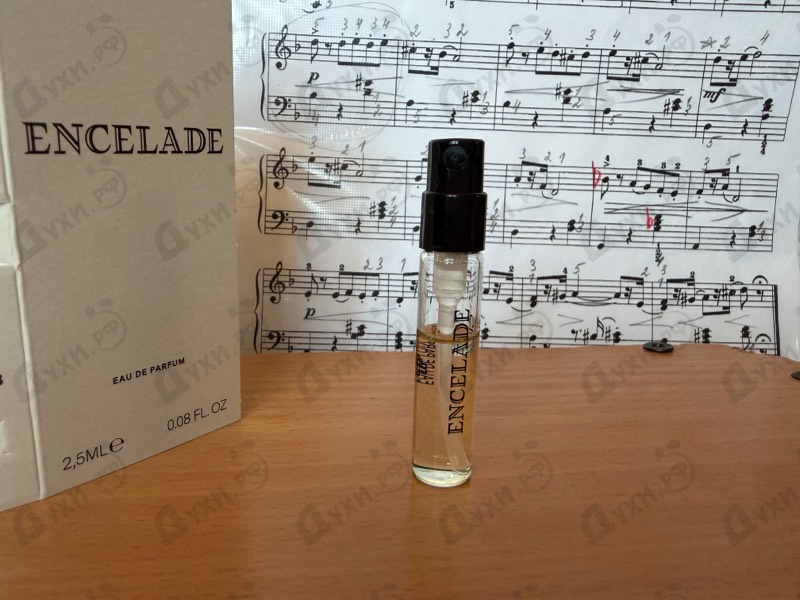 Купить Encelade от Marc-Antoine Barrois