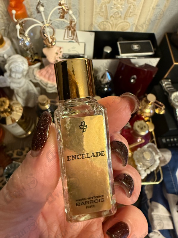 Отзыв Marc-Antoine Barrois Encelade