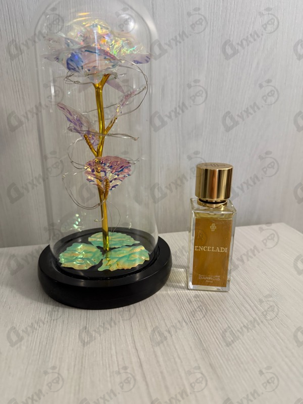 Купить Marc-Antoine Barrois Encelade