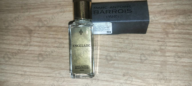 Купить Encelade от Marc-Antoine Barrois