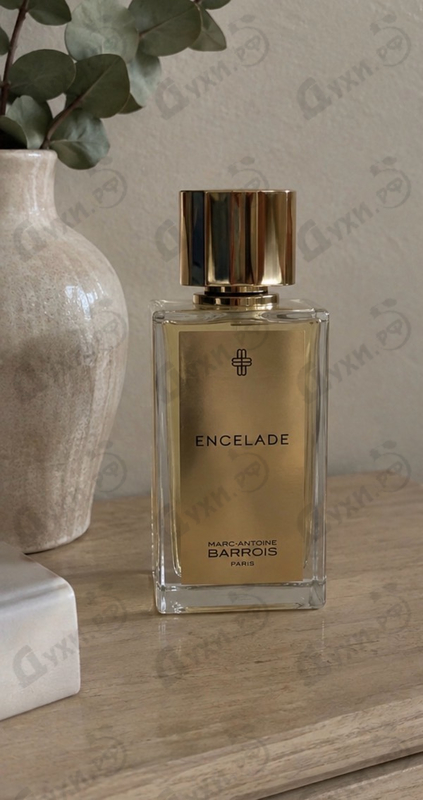 Купить Encelade от Marc-Antoine Barrois