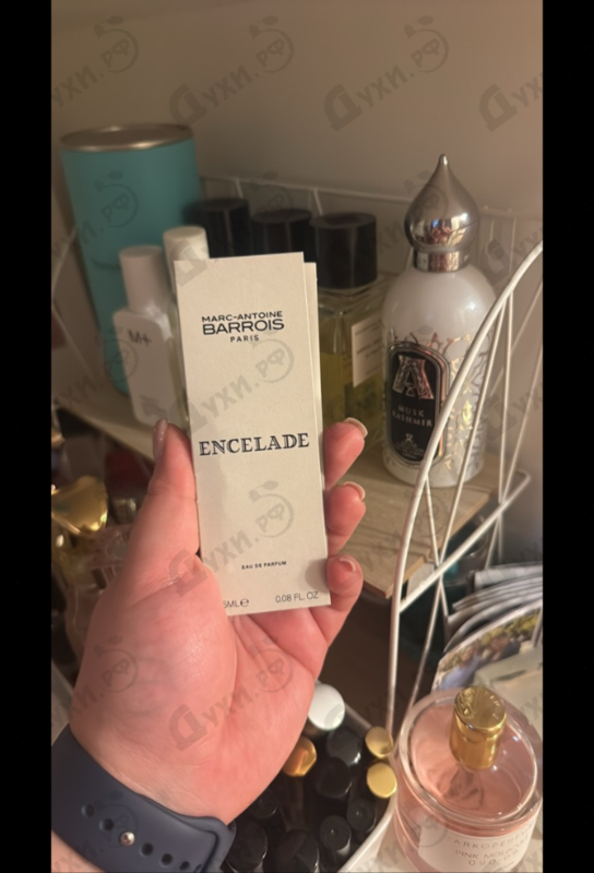 Купить Encelade от Marc-Antoine Barrois