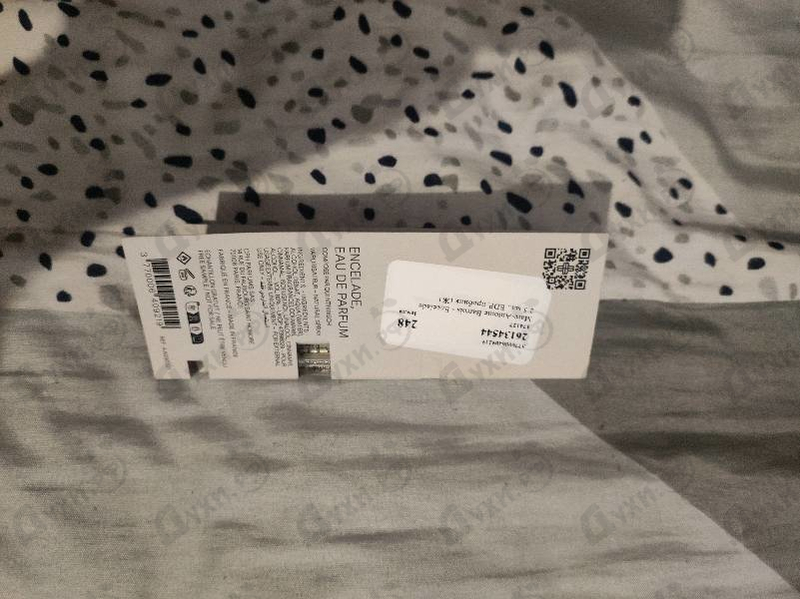 Купить Encelade от Marc-Antoine Barrois