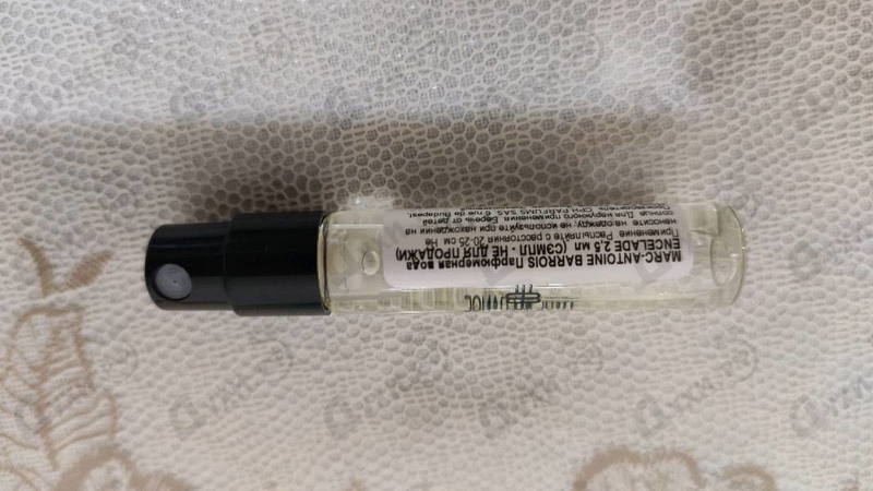 Купить Encelade от Marc-Antoine Barrois