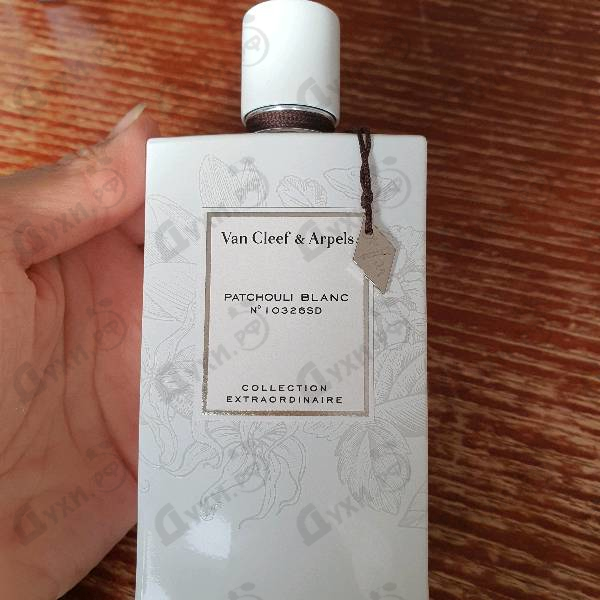 Парфюмерия Patchouli Blanc от Van Cleef & Arpels