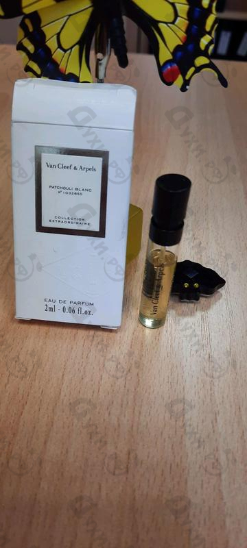 Купить Patchouli Blanc от Van Cleef & Arpels