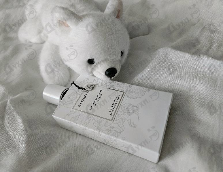 Духи Patchouli Blanc от Van Cleef & Arpels