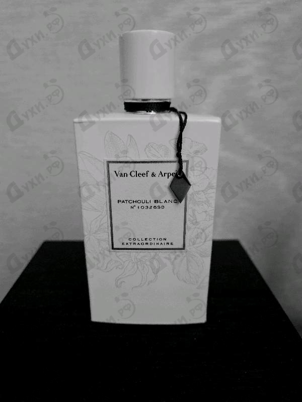 Парфюмерия Patchouli Blanc от Van Cleef & Arpels