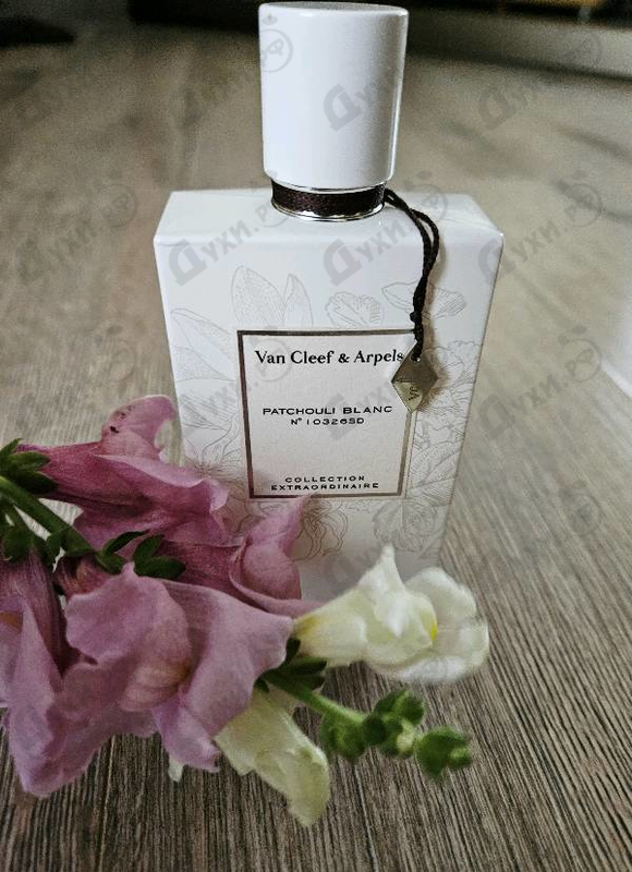 Купить Van Cleef & Arpels Patchouli Blanc