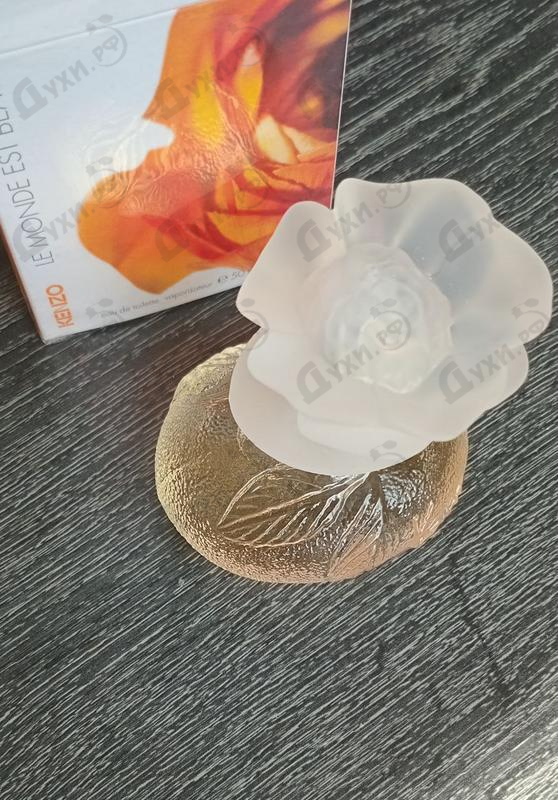 Купить Le Monde Est Beau от Kenzo