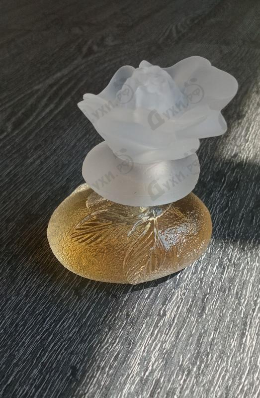 Духи Le Monde Est Beau от Kenzo