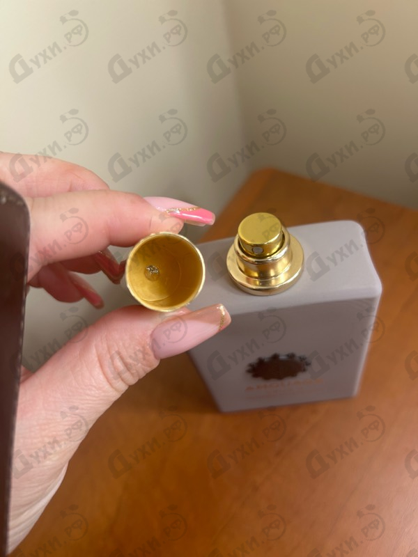 Парфюмерия Opus V Woods Symphony от Amouage