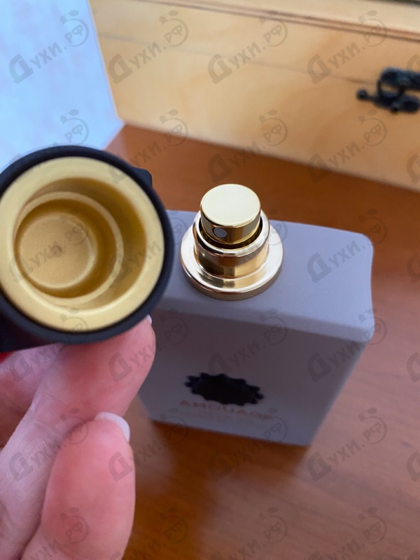 Купить Opus VII Reckless Leather от Amouage