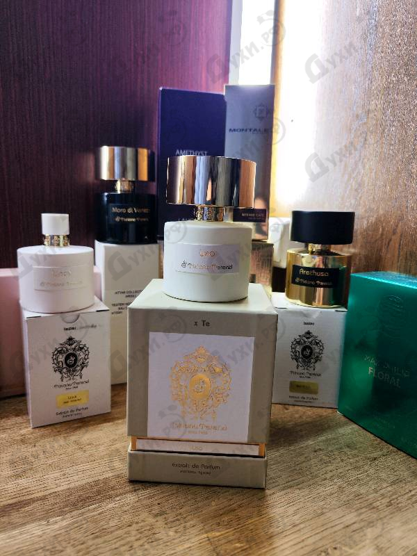 Купить Leo от Tiziana Terenzi