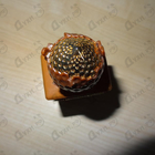 Отзывы Stephane Humbert Lucas 777 Sand Dance