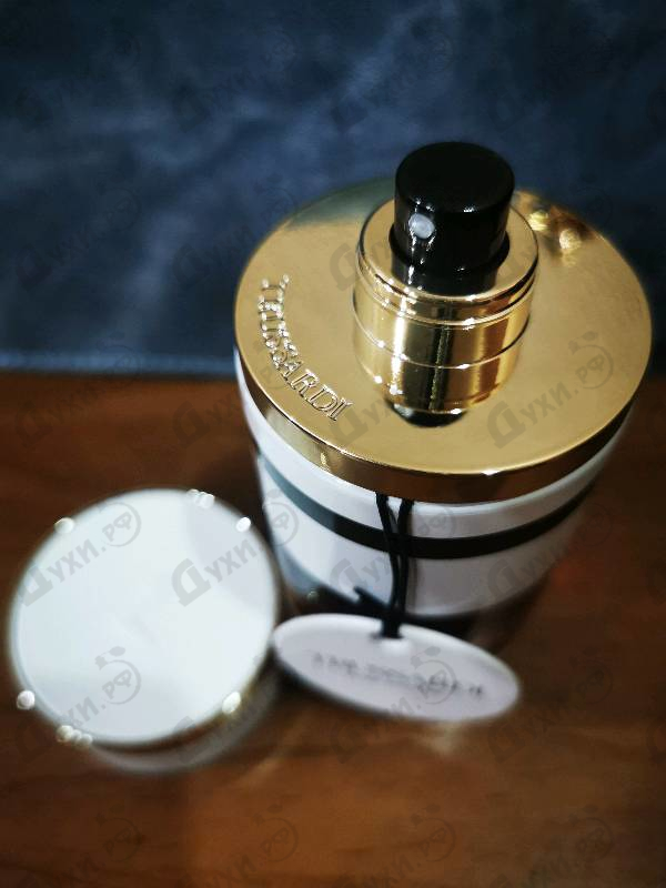 Купить Pure Jasmine от Trussardi