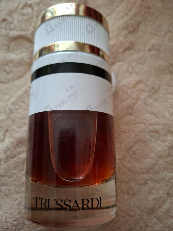 Купить Pure Jasmine от Trussardi