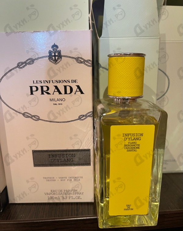 Купить Infusion D'Ylang от Prada
