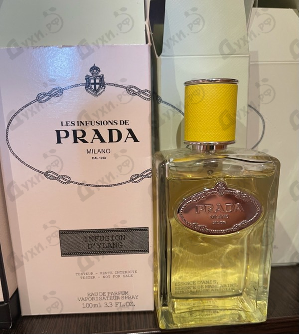 Купить Infusion D'Ylang от Prada