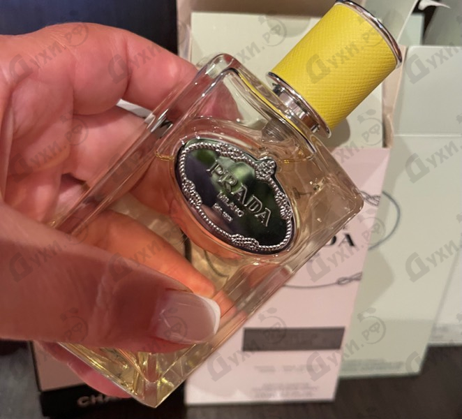 Отзыв Prada Infusion D'Ylang