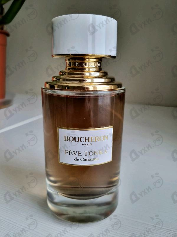 Купить Feve Tonka De Canaima от Boucheron