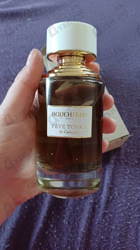 Купить Feve Tonka De Canaima от Boucheron