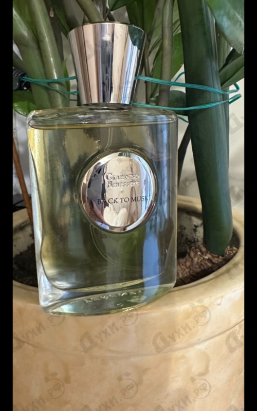 Отзывы Giardino Benessere Back To Musk