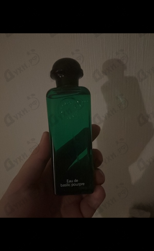 Купить Eau De Basilic Pourpre от Hermes