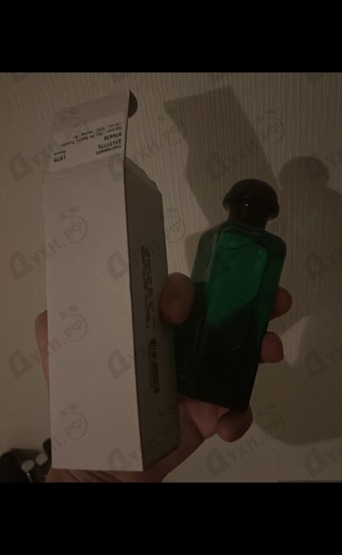 Купить Eau De Basilic Pourpre от Hermes