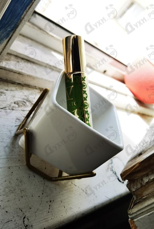 Купить P.D.F от V Canto Отзыв V Canto P.D.F