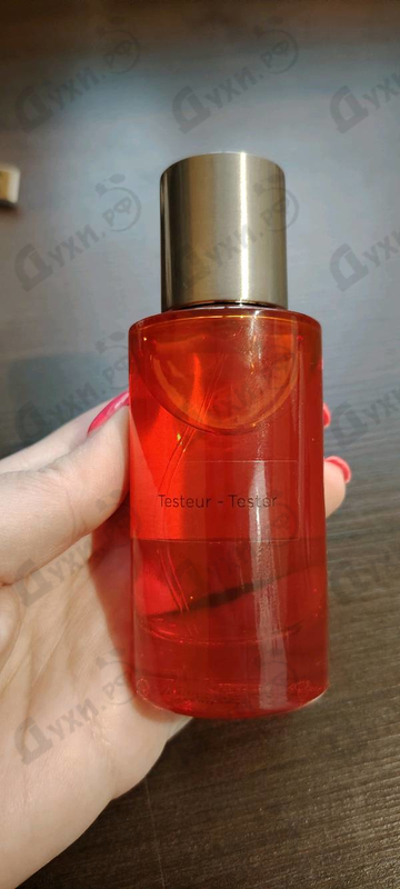 Купить Hibiscus Mahajad от Maison Crivelli