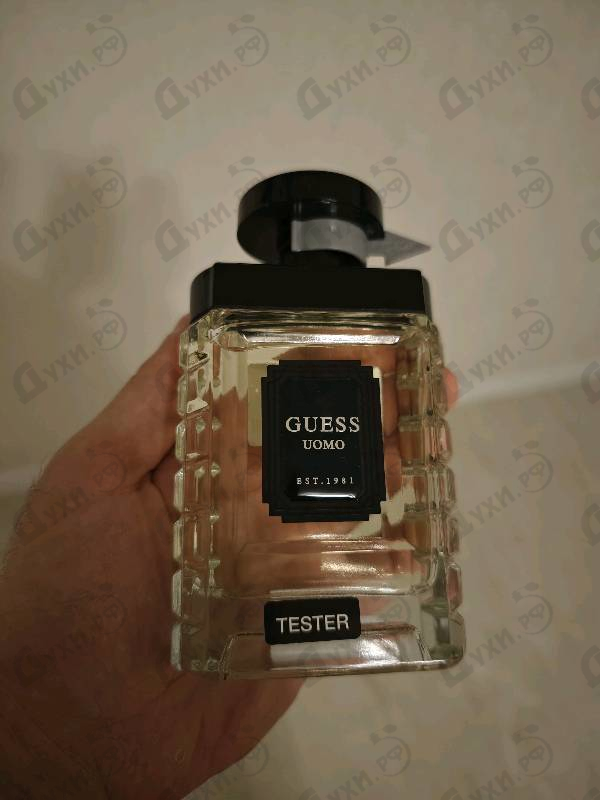 Отзывы Guess Uomo Купить Uomo от Guess