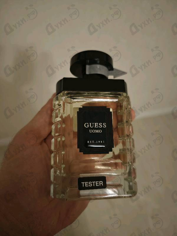 Купить Uomo от Guess