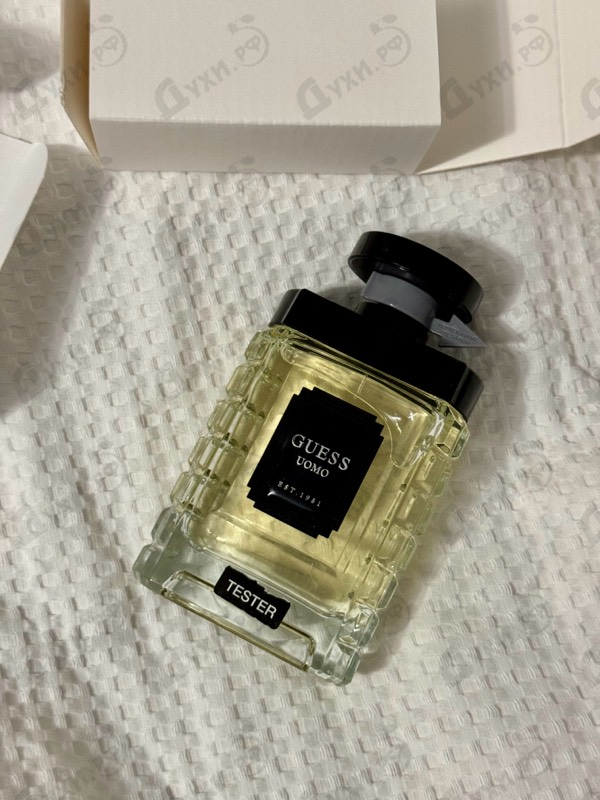 Купить Guess Uomo